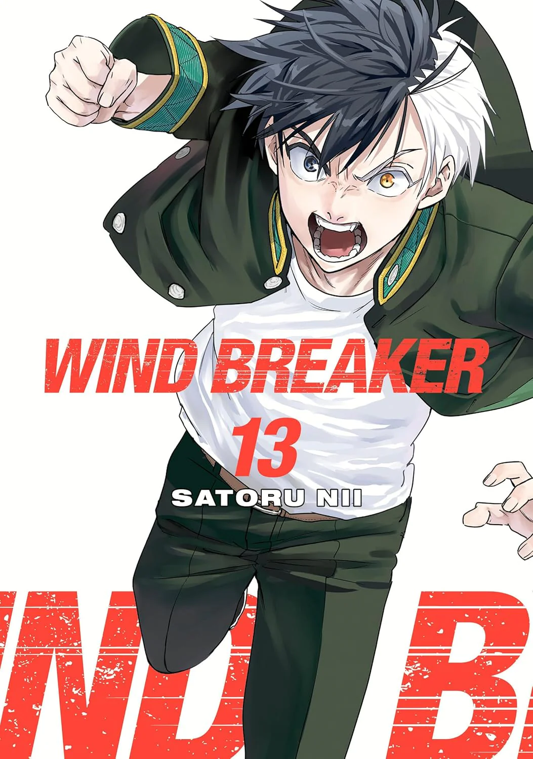 Wind Breaker 13 (Manga)