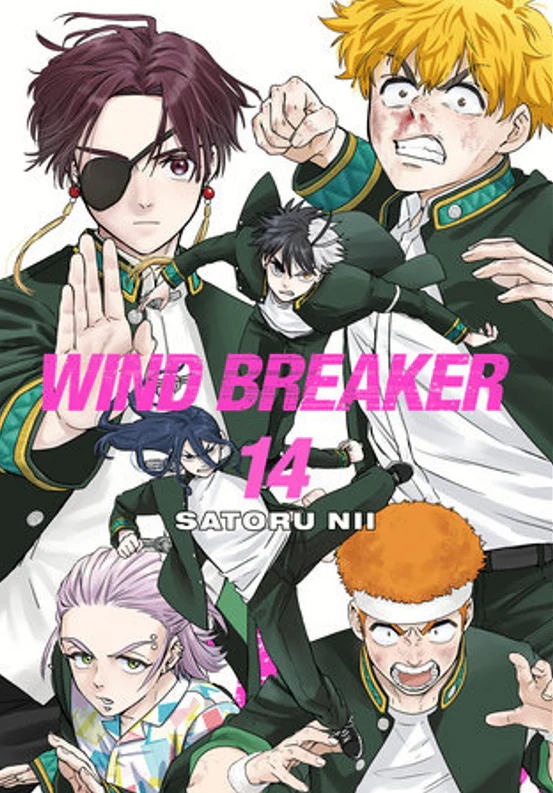 Wind Breaker 14 (Manga)