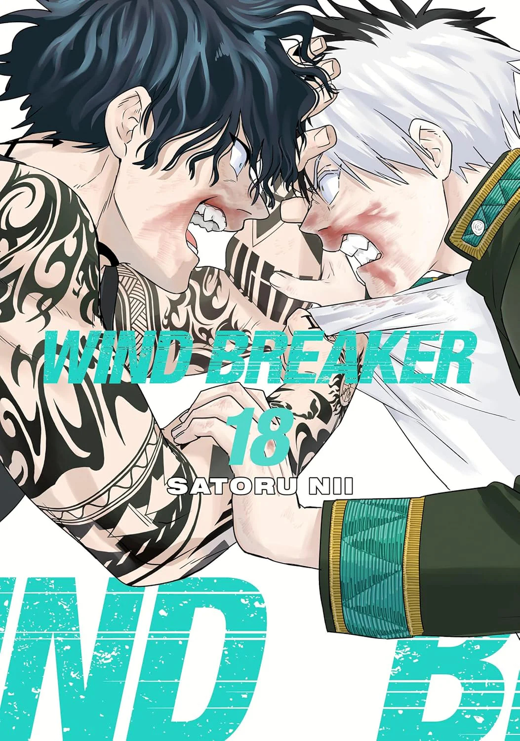 Wind Breaker 18 (Manga)