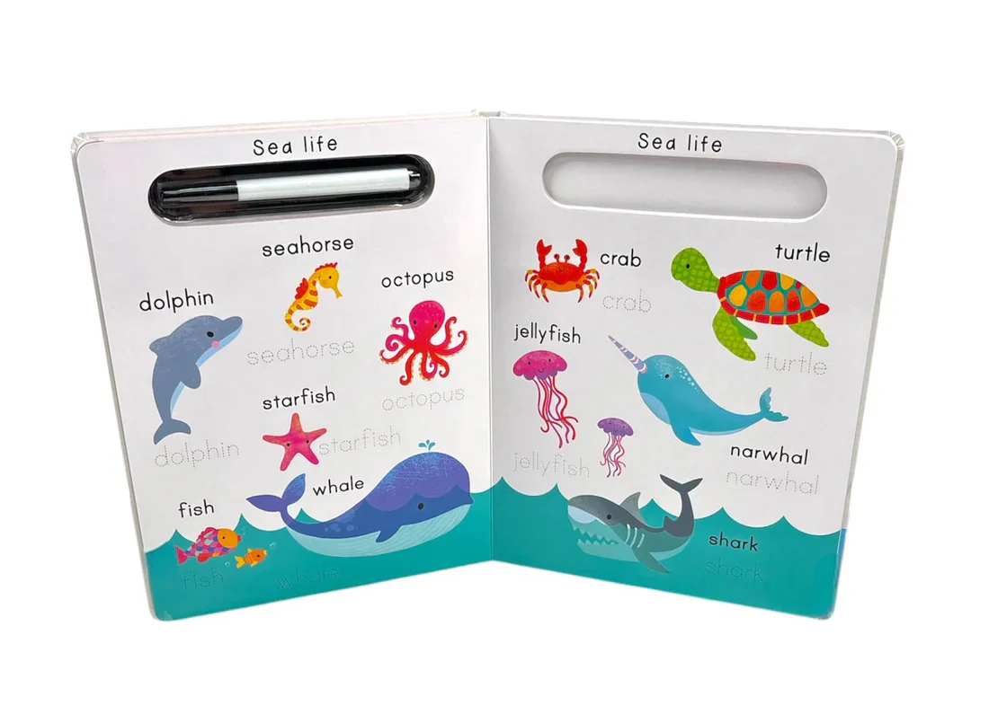 Wipe-Clean: Learn To Write First Words - Image 4